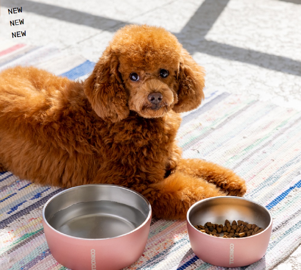 Corkcicle 16oz. Ceramic Sierra Dog Bowl