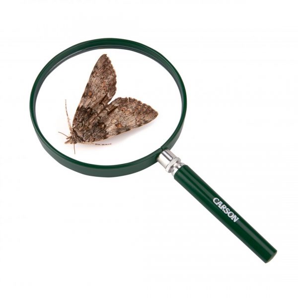 HU-20 Carson BigEye Magnifier