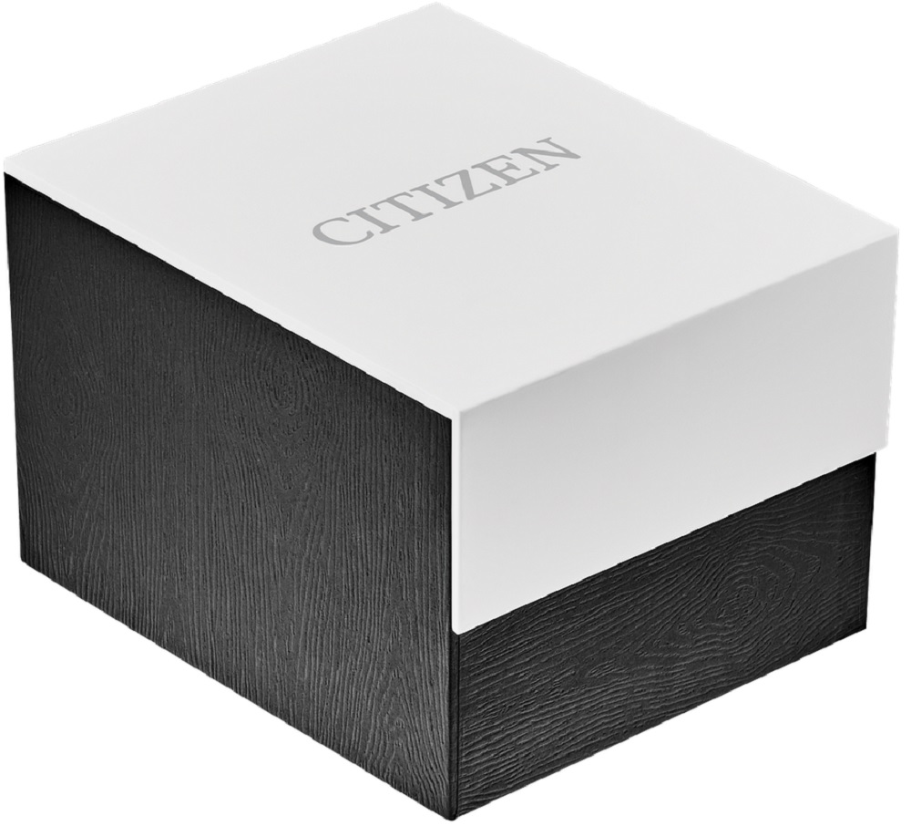 Citizen Ladies Stainless Steel Quartz Watch