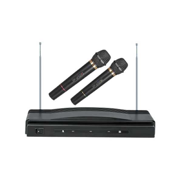 Professional Dual Wireless Microphone System